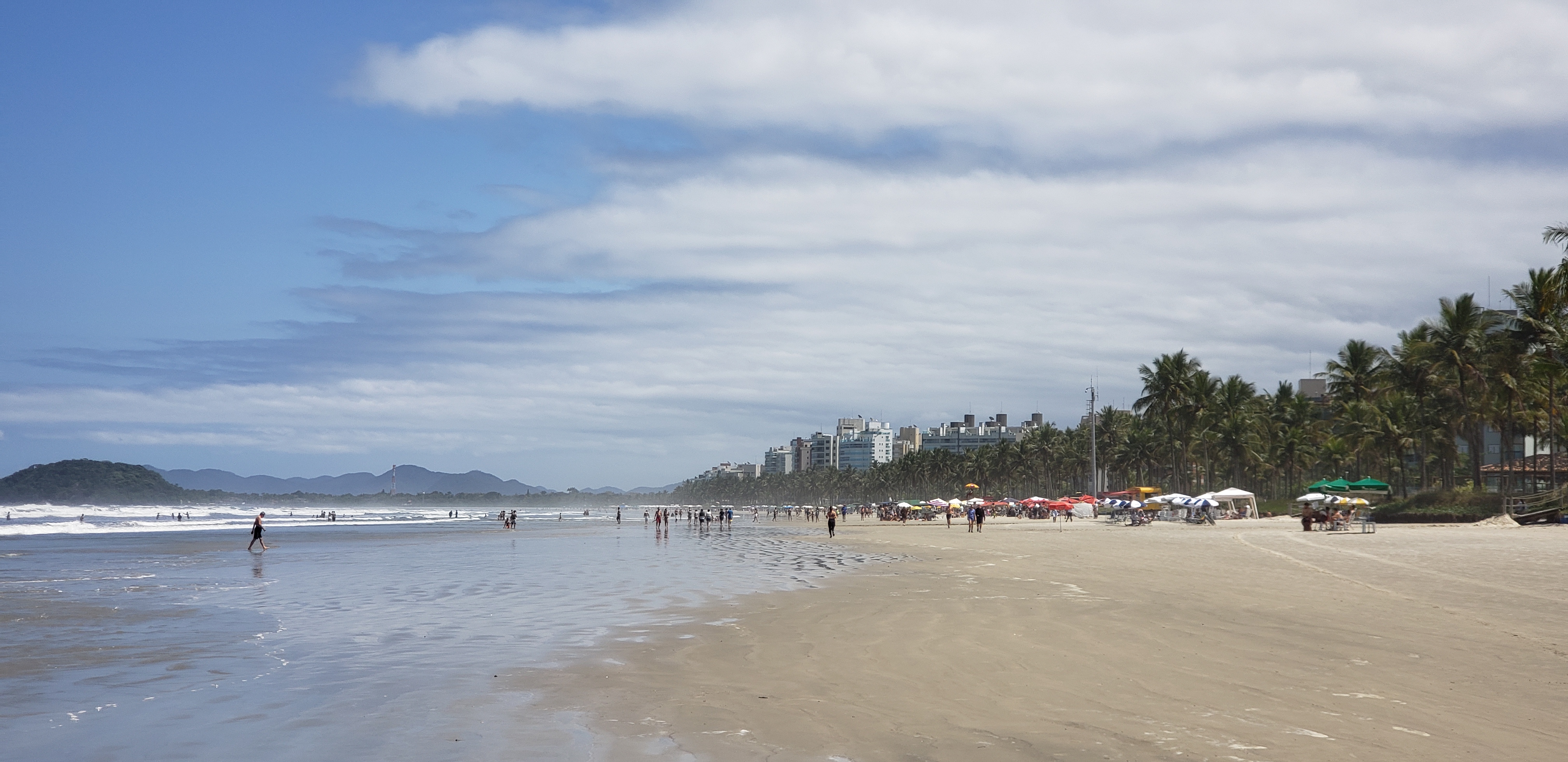 Praia de São Lourenço · areia, sol e palmeiras